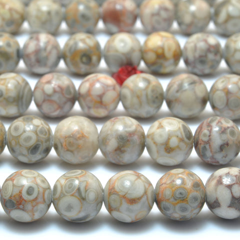Natural Maifanite fossil jasper smooth round beads wholesale gemstone jewelry making bracelet diy design