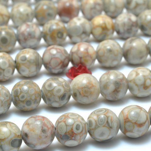 Natural Maifanite fossil jasper smooth round beads wholesale gemstone jewelry making bracelet diy design