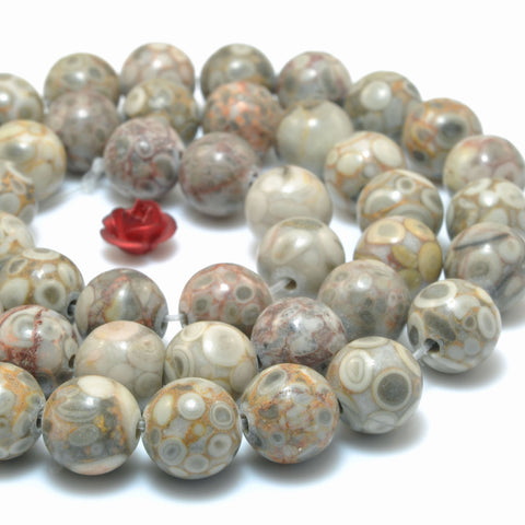 Natural Maifanite fossil jasper smooth round beads wholesale gemstone jewelry making bracelet diy design