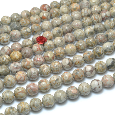 Natural Maifanite fossil jasper smooth round beads wholesale gemstone jewelry making bracelet diy design