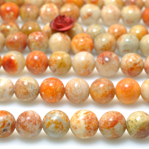 Natural Fossil Coral Jasper smooth round beads gemstone wholesale jewelry making bracelet necklace diy 6mm