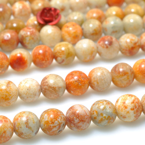 Natural Fossil Coral Jasper smooth round beads gemstone wholesale jewelry making bracelet necklace diy 6mm