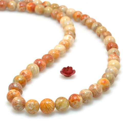 Natural Fossil Coral Jasper smooth round beads gemstone wholesale jewelry making bracelet necklace diy 6mm