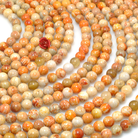Natural Fossil Coral Jasper smooth round beads gemstone wholesale jewelry making bracelet necklace diy 6mm