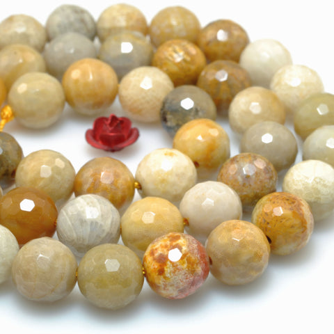 Natural Fossil Coral Jasper faceted round loose beads wholesale gemstone jewelry making DIY 8mm