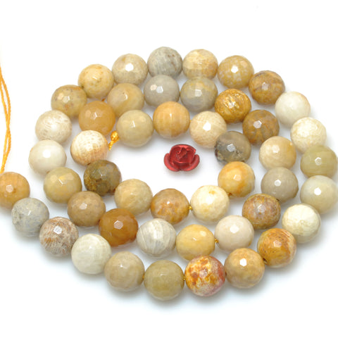 Natural Fossil Coral Jasper faceted round loose beads wholesale gemstone jewelry making DIY 8mm