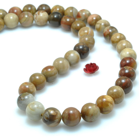 Natural Petrified Wood Jasper smooth round loose beads wholesale gemstone for jewelry making DIY