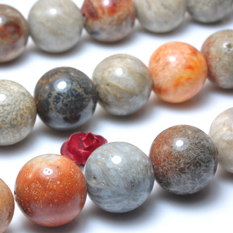 Natural fossil coral jasper smooth round beads loose gemstones wholesale semi procious stone diy jewelry making stuff