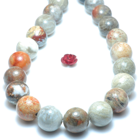 Natural fossil coral jasper smooth round beads loose gemstones wholesale semi procious stone diy jewelry making stuff
