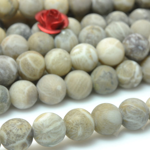 YesBeads Natural Fossil Coral matte round loose beads wholesale gemstone jewelry 15"