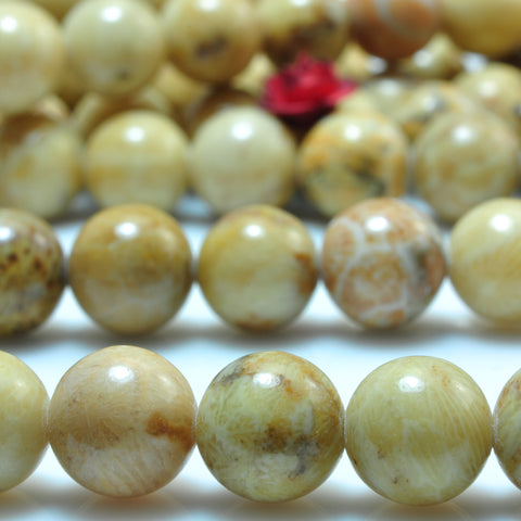 YesBeads Natural Fossil Coral jasper smooth round beads gemstone wholesale jewelry 15"