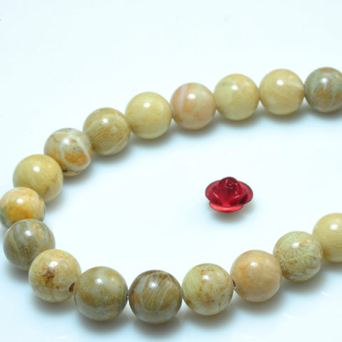 YesBeads Natural Fossil Coral jasper smooth round beads gemstone wholesale jewelry 15"
