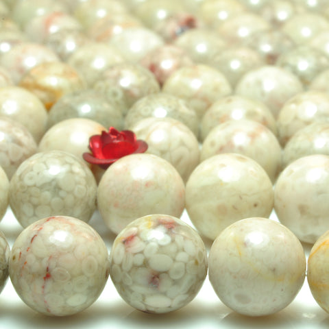 YesBeads natural Maifanite Fossil Jasper smooth round loose beads wholesale gemstone 10mm