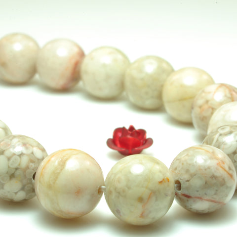YesBeads natural Maifanite Fossil Jasper smooth round loose beads wholesale gemstone 10mm