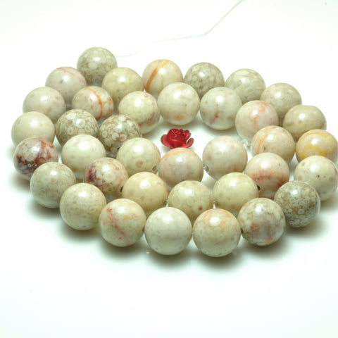 YesBeads natural Maifanite Fossil Jasper smooth round loose beads wholesale gemstone 10mm