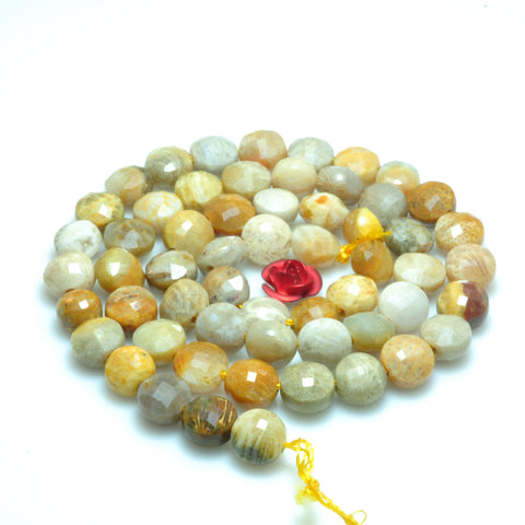 YesBeads natural Fossil Coral Jasper micro faceted coin loose beads wholesale gemstone jewelry making 6mm 15"
