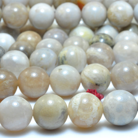 YesBeads Natural ocean fossil coral agate smooth round beads wholesale gemstone jewelry 15"