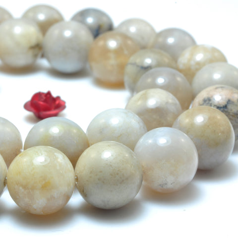 YesBeads Natural ocean fossil coral agate smooth round beads wholesale gemstone jewelry 15"