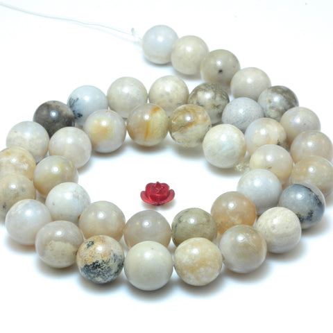 YesBeads Natural ocean fossil coral agate smooth round beads wholesale gemstone jewelry 15"