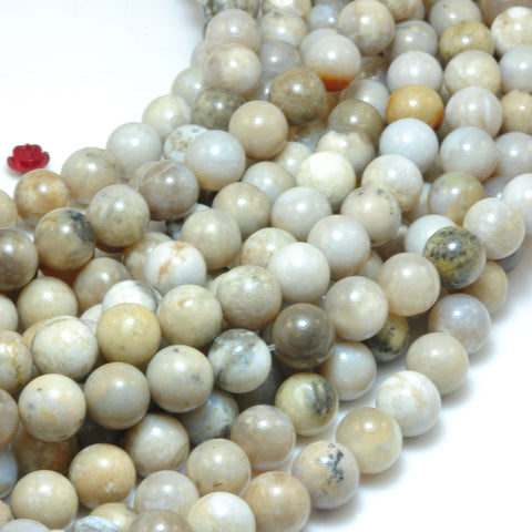 YesBeads Natural ocean fossil coral agate smooth round beads wholesale gemstone jewelry 15"