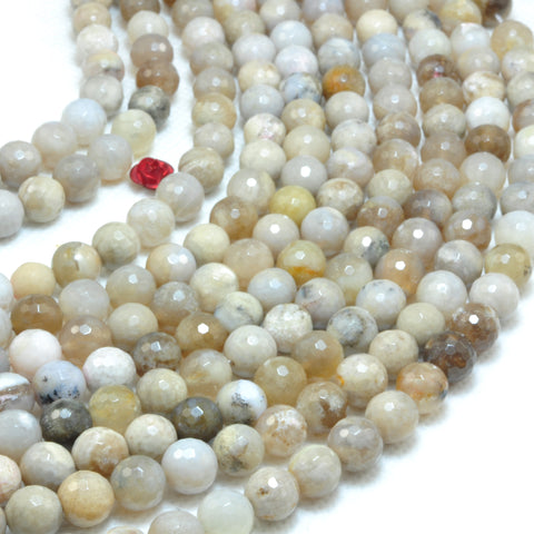 YesBeads Natural ocean fossil coral agate faceted round beads wholesale gemstone jewelry 15"