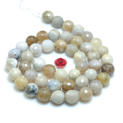 YesBeads Natural ocean fossil coral agate faceted round beads wholesale gemstone jewelry 15"