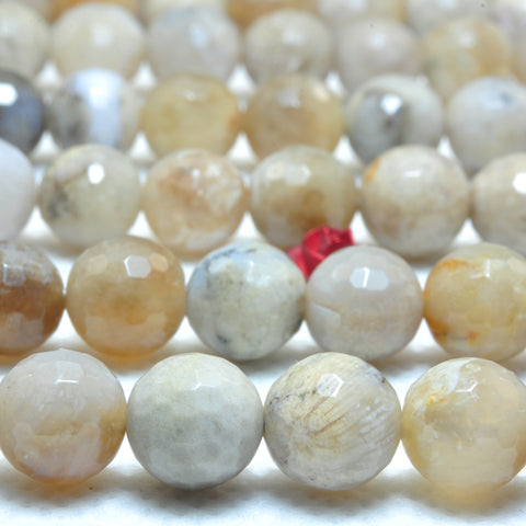 YesBeads Natural ocean fossil coral agate faceted round beads wholesale gemstone jewelry 15"