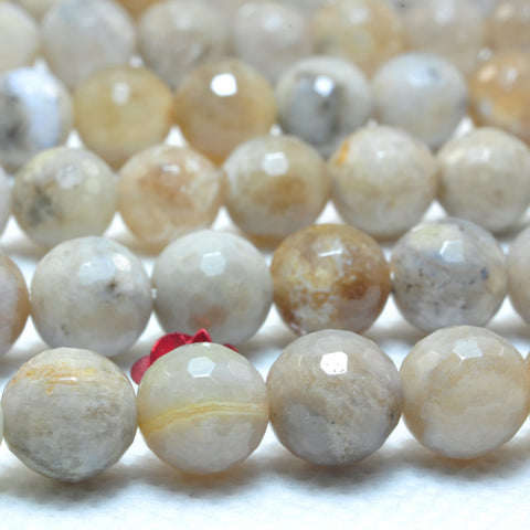 YesBeads Natural ocean fossil coral agate faceted round beads wholesale gemstone jewelry 15"