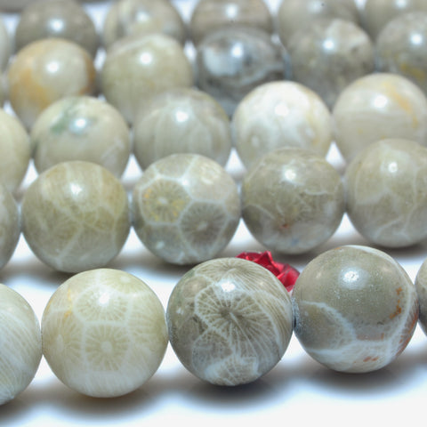 YesBeads Natural Fossil Coral Jasper smooth round loose beads wholesale gemstone jewelry making 15"