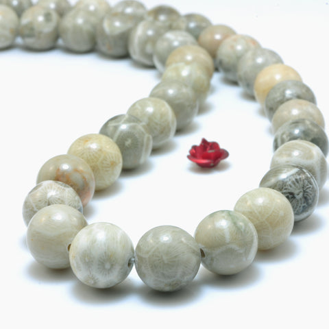 YesBeads Natural Fossil Coral Jasper smooth round loose beads wholesale gemstone jewelry making 15"