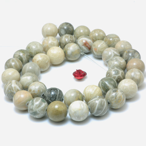 YesBeads Natural Fossil Coral Jasper smooth round loose beads wholesale gemstone jewelry making 15"