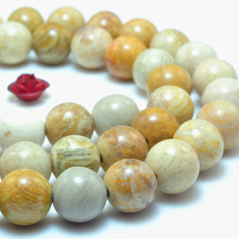 YesBeads Natural Fossil Coral Jasper smooth round beads wholesale gemstone jewelry 15"