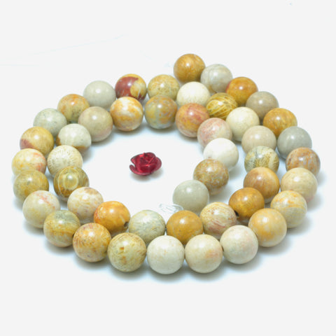 YesBeads Natural Fossil Coral Jasper smooth round beads wholesale gemstone jewelry 15"