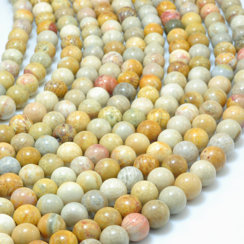 YesBeads Natural Fossil Coral Jasper smooth round beads wholesale gemstone jewelry 15"