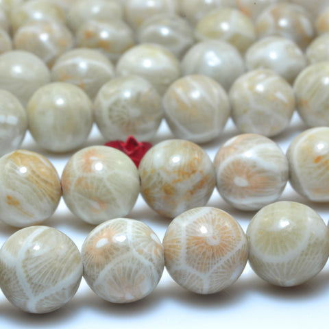 YesBeads Natural Fossil Coral Jasper A grade smooth round beads wholesale gemstone jewelry 15"