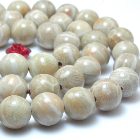 YesBeads Natural Fossil Coral Jasper A grade smooth round beads wholesale gemstone jewelry 15"
