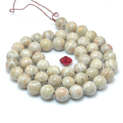 YesBeads Natural Fossil Coral Jasper A grade smooth round beads wholesale gemstone jewelry 15"