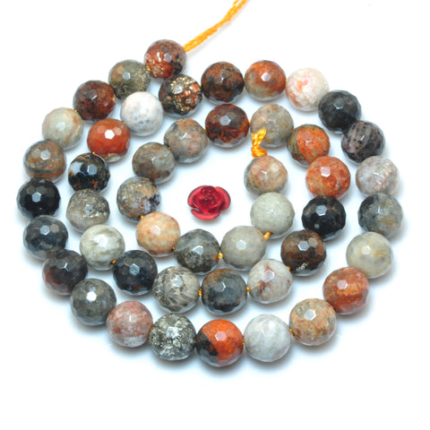YesBeads Natural Fossil Coral Jasper faceted round loose beads wholesale gemstone jewelry making 15"