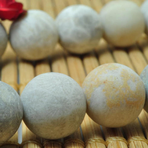 37 pcs of Coral fossil matte round beads in 10mm
