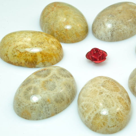 5 pcs of A Grade Coral fossil smooth oval Cabochon beads in 18x25mm