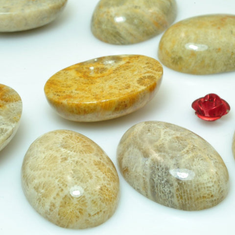 5 pcs of A Grade Coral fossil smooth oval Cabochon beads in 18x25mm