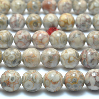 Natural Maifanite fossil jasper smooth round beads wholesale gemstone jewelry making bracelet diy design