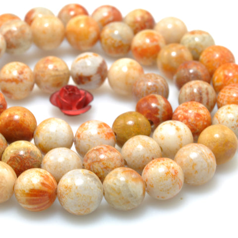 Natural Fossil Coral Jasper smooth round beads gemstone wholesale jewelry making bracelet necklace diy 6mm