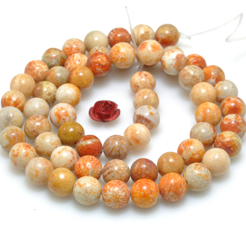 Natural Fossil Coral Jasper smooth round beads gemstone wholesale jewelry making bracelet necklace diy 6mm