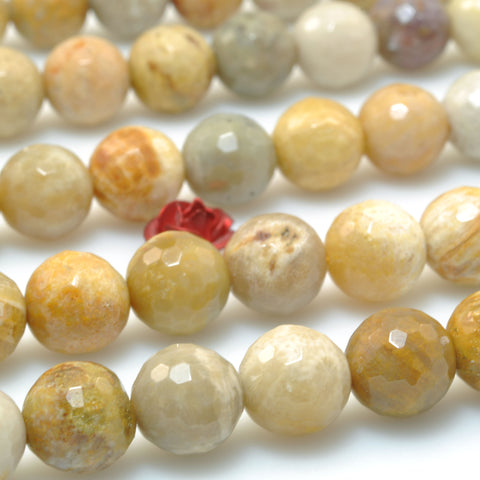 Natural Fossil Coral Jasper faceted round loose beads wholesale gemstone jewelry making DIY 8mm