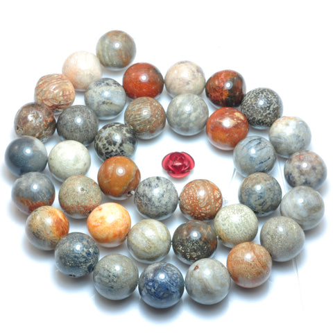 Natural fossil coral jasper smooth round beads loose gemstones wholesale semi procious stone diy jewelry making stuff