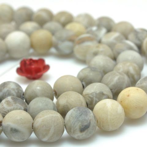 YesBeads Natural Fossil Coral matte round loose beads wholesale gemstone jewelry 15"