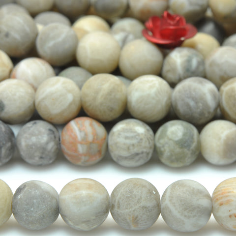 YesBeads Natural Fossil Coral matte round loose beads wholesale gemstone jewelry 15"