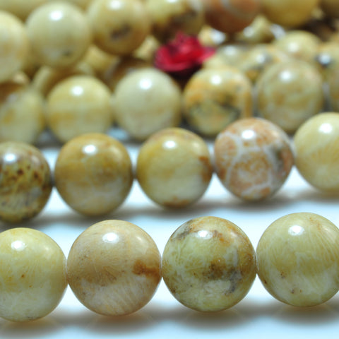 YesBeads Natural Fossil Coral jasper smooth round beads gemstone wholesale jewelry  15"