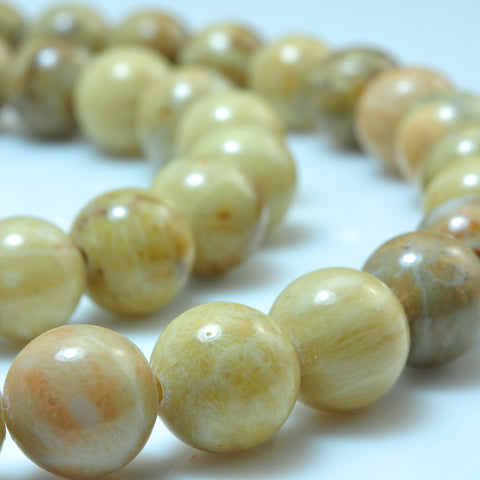 YesBeads Natural Fossil Coral jasper smooth round beads gemstone wholesale jewelry  15"